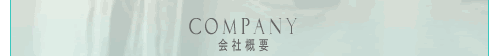COMPANY